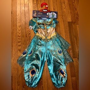 Disney Jasmine dress up